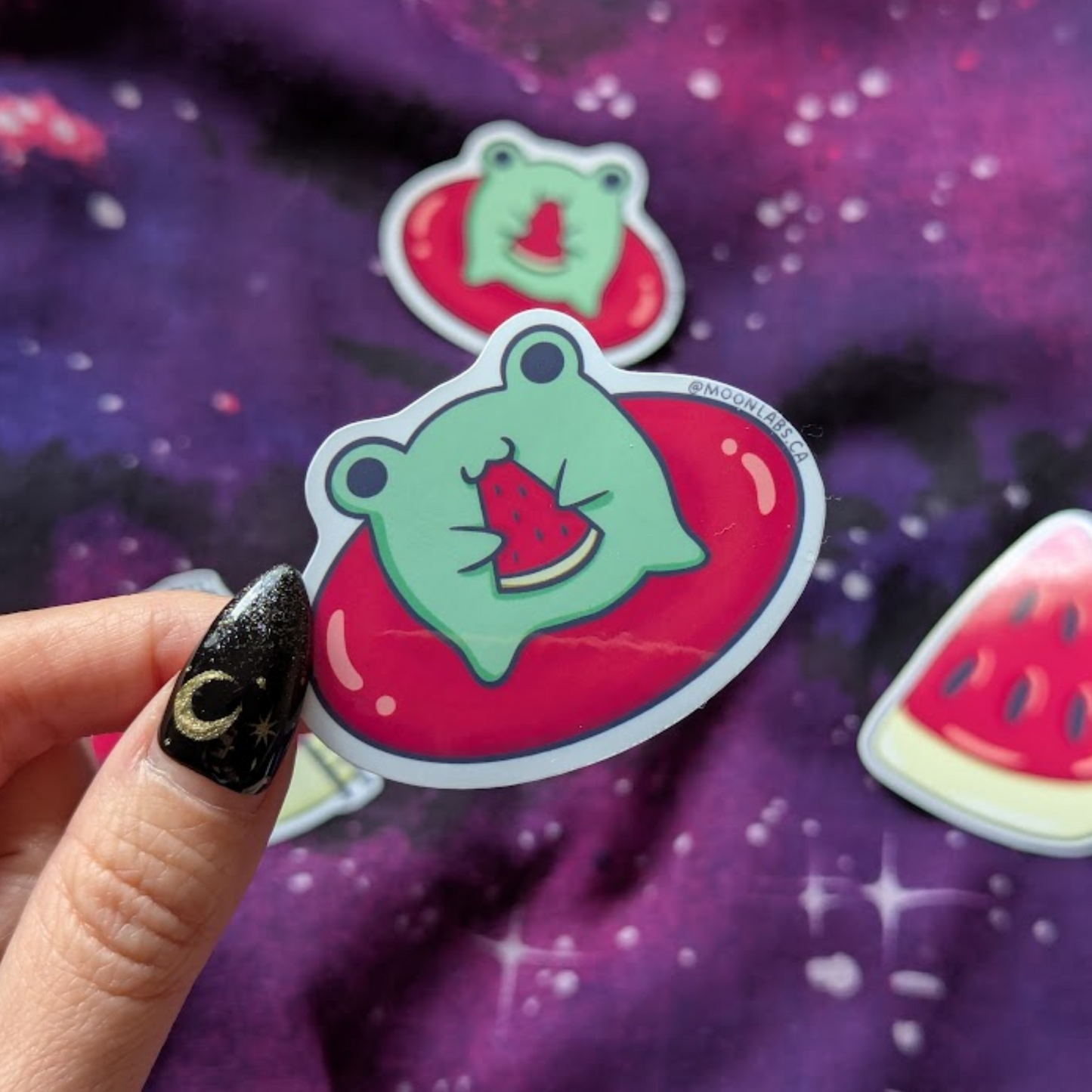 Watermelon Sticker Set | Fruity Seasons