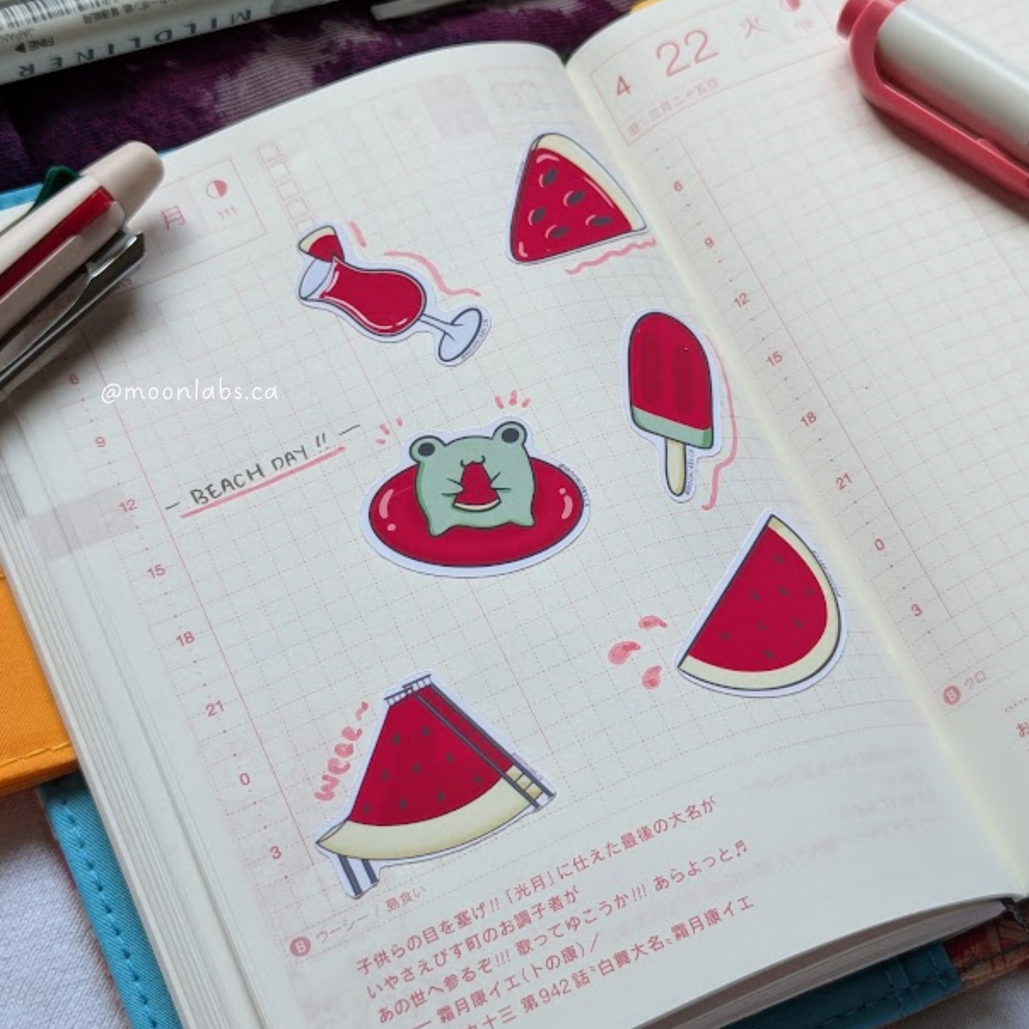 Watermelon Vacation Flake Sticker Pack | Fruity Seasons